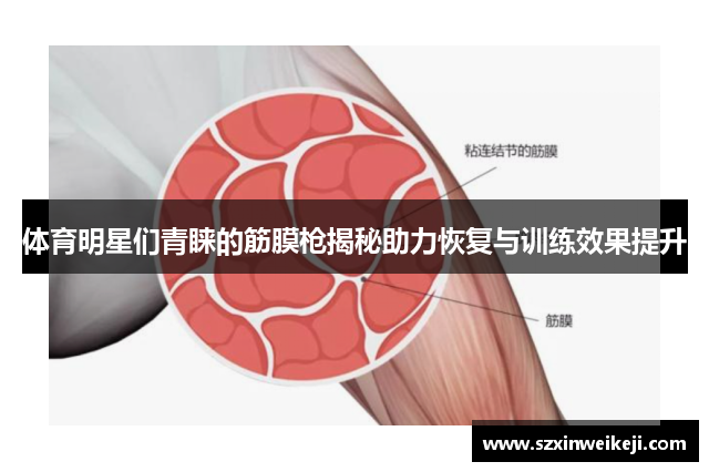 体育明星们青睐的筋膜枪揭秘助力恢复与训练效果提升