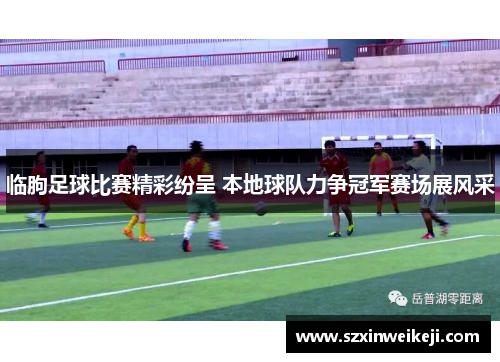 临朐足球比赛精彩纷呈 本地球队力争冠军赛场展风采